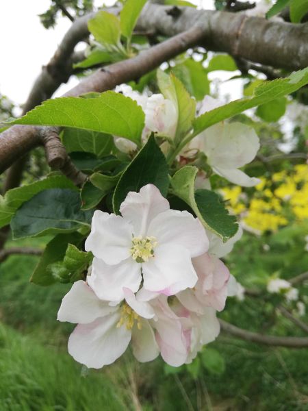 Foto: © Amt Itzstedt